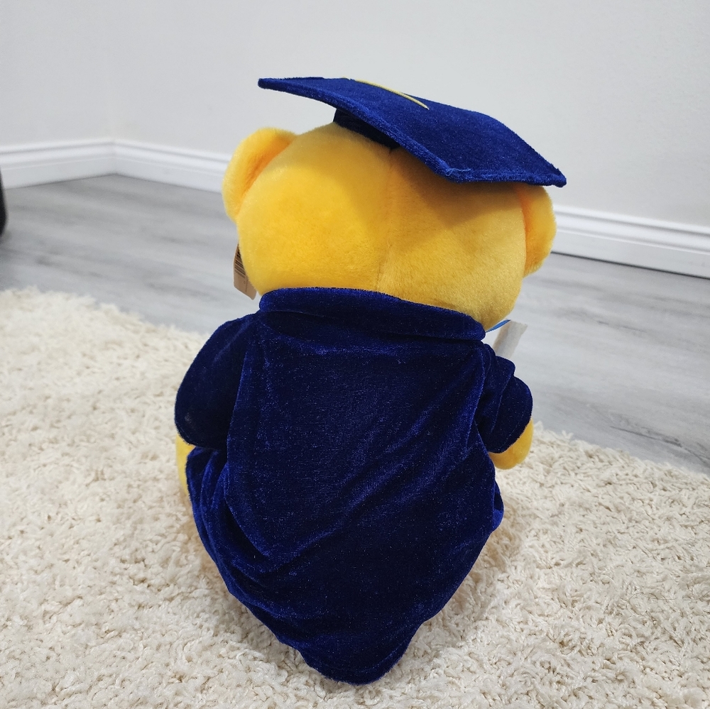 Graduation Gift Bear - Picture 6 of 6